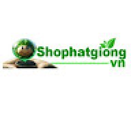 shophatgiongbd